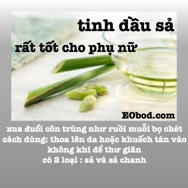 Tinh dầu xả - Cơ Sở Dầu Gió Linh Dương